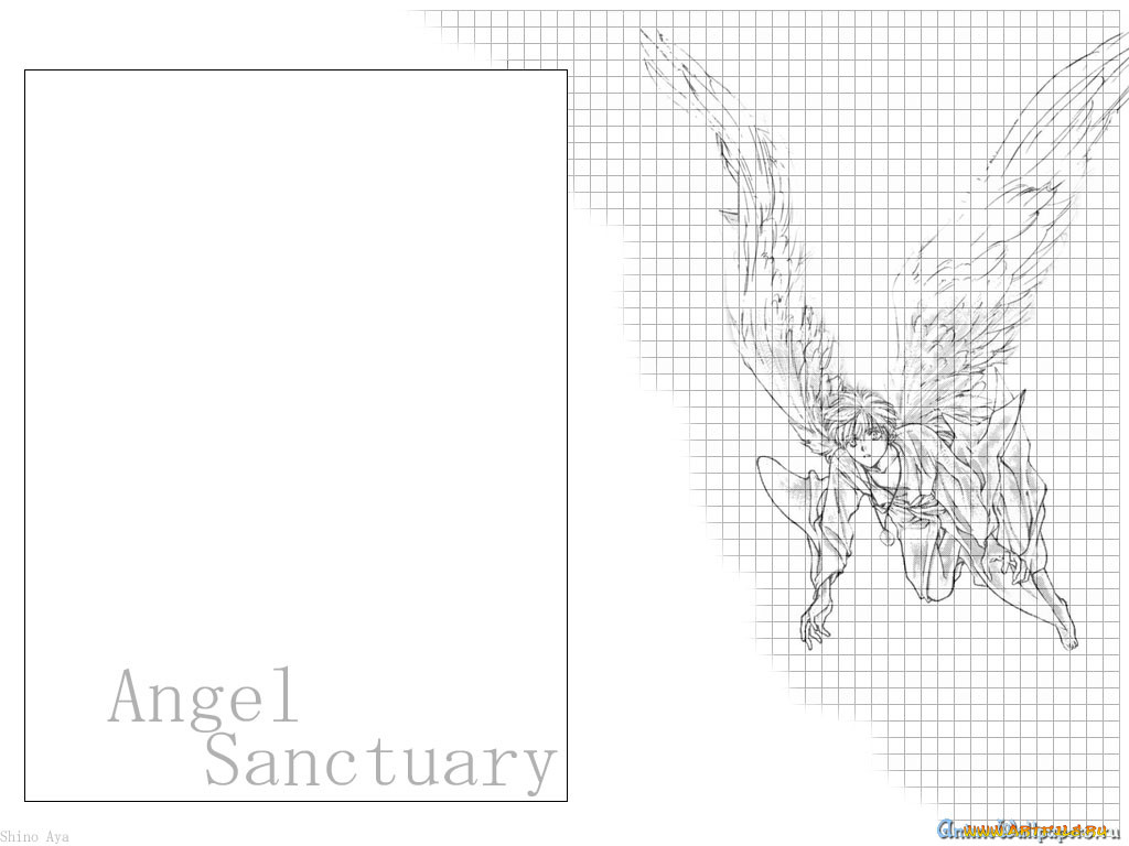 , angel, sanctuary